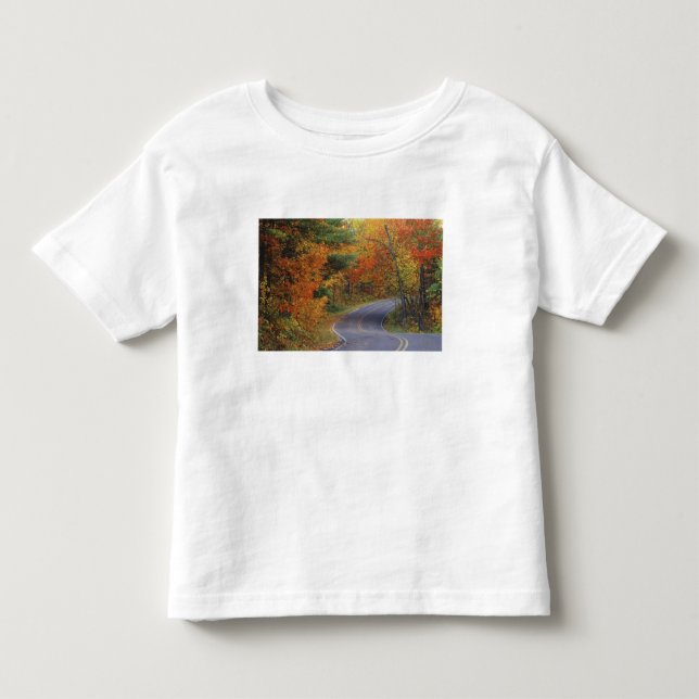 Höstträd längs vägen i Itasca State Park T Shirt (Framsida)