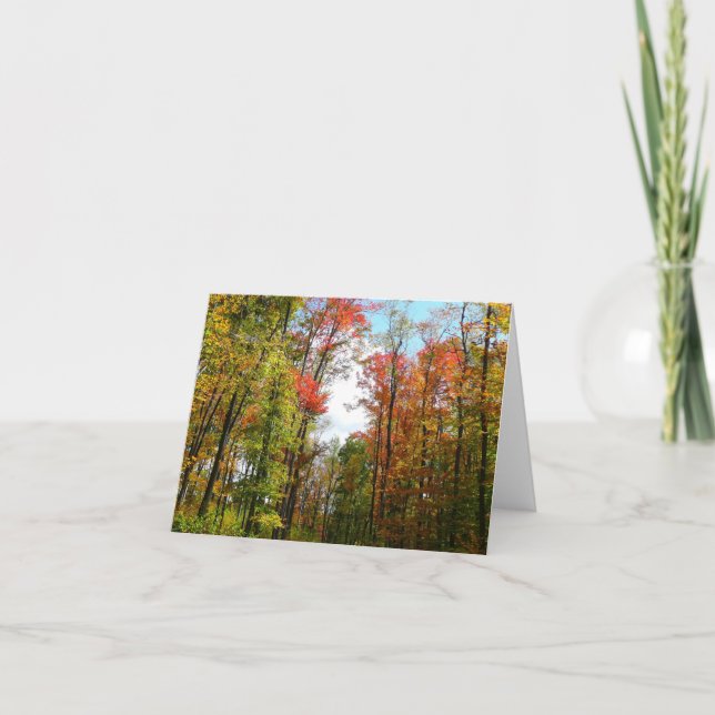 Höstträd och blå himmel Höstnaturfotografering Kort (Framsida)