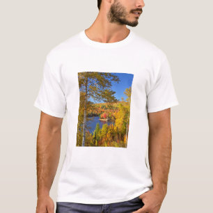 Höstträdlandskap, Maine Tee