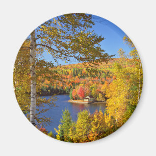 Höstträdslandskap, Maine Magnet