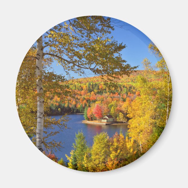 Höstträdslandskap, Maine Magnet (Framsidan)
