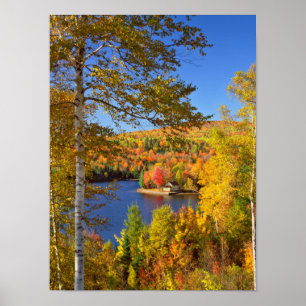 Höstträdslandskap, Maine Poster