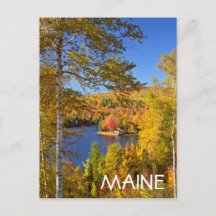 Höstträdslandskap, Maine Vykort