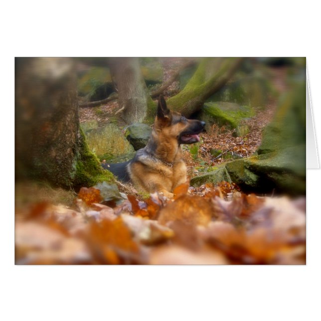 Hösttyskt skägerkort hälsningskort (Framsidan Horizontal)