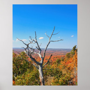 Höstutsikt vid Mount Bohemia Poster