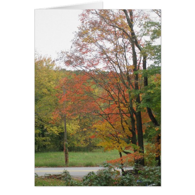 Höstväg 2 hälsningskort (Framsidan)