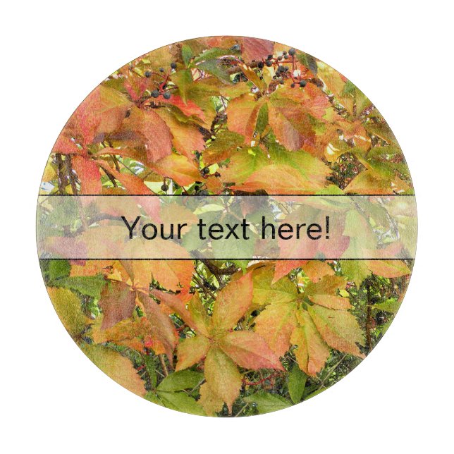 Höstvild grapevine löv (Framsidan)