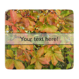 Höstvild grapevine löv