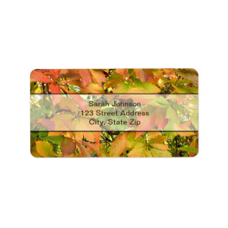 Höstvild grapevine löv adressetikett