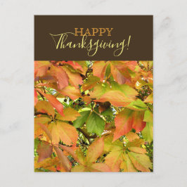 Höstvild grapevine löv Happy thanksgiving Helg Vykort