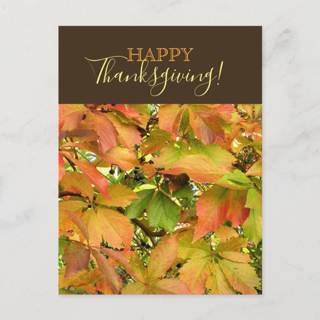 Höstvild grapevine löv Happy thanksgiving Helg Vykort (Framsida)