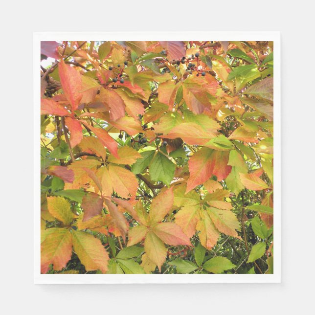 Höstvild grapevine löv pappersservett (Framsidan)