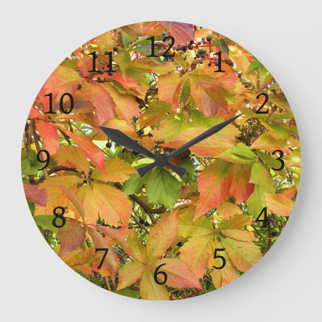 Höstvild grapevine löv stor klocka (Framsida)