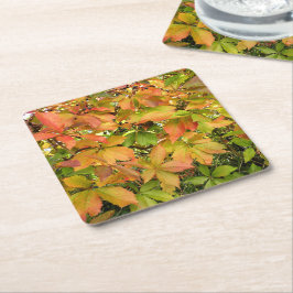 Höstvild grapevine löv underlägg papper kvadrat