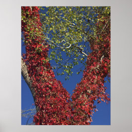 Höstvinge på Träd Poster