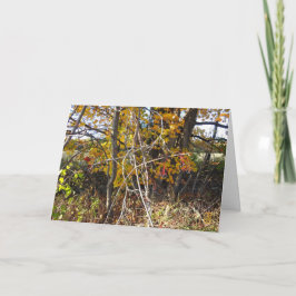 Höstvingekort för vinjettstangel och marsdiagram " kort