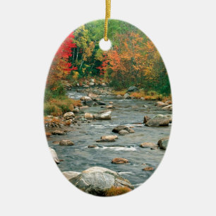 Höstvitberg New Hampshire Julgransprydnad Keramik