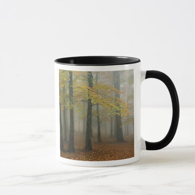 Höstvy av dimmig skog, Farfar 3 Mugg (Höger)