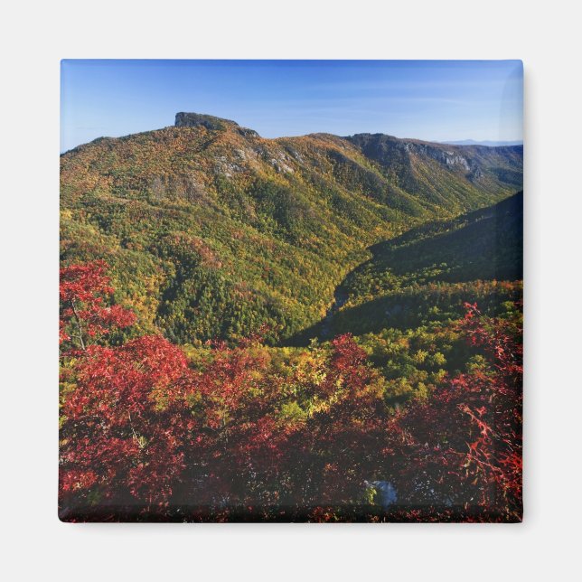 Höstvy av Linville Gorge ofta kallad Magnet (Framsidan)