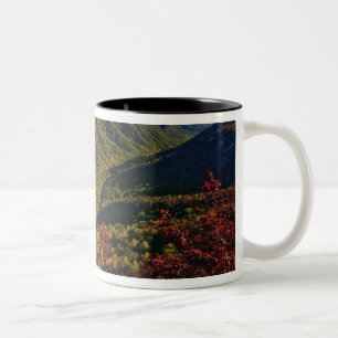Höstvy av Linville Gorge ofta kallad Två-Tonad Mugg