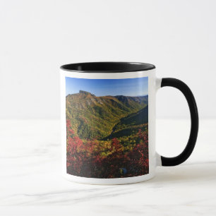 Höstvy över Linville Gorge ofta kallad Mugg