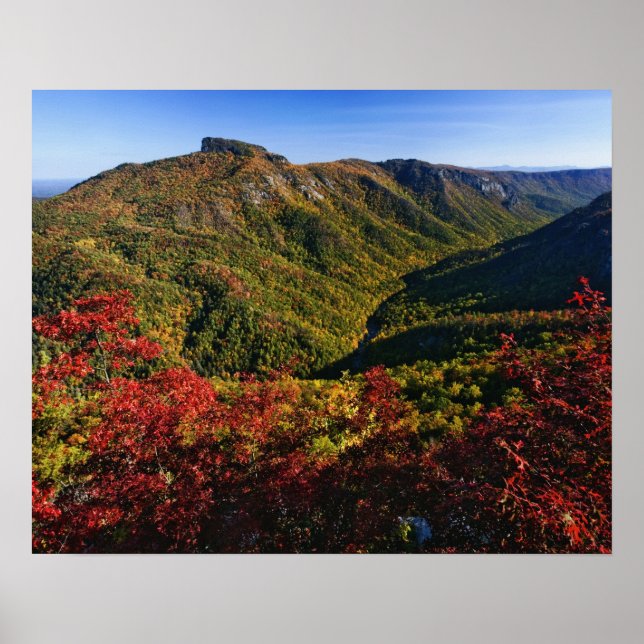 Höstvy över Linville Gorge ofta kallad Poster (Framsidan)