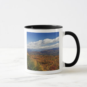 Höstvy över södra Appalachiska bergen Mugg