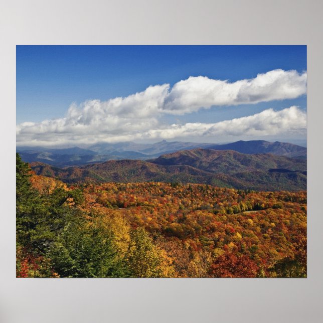 Höstvy över södra Appalachiska bergen Poster (Framsidan)