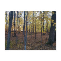 Höstvykort för gult