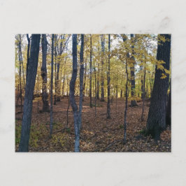 Höstvykort för gult vykort