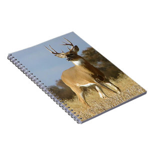 HöstWhitetailbock Anteckningsbok Med Spiral