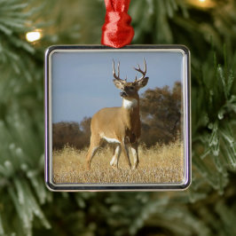 HöstWhitetailbock Julgransprydnad Metall