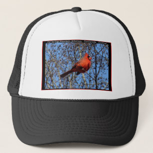 Hot Springs Mountain Promenade Cardinal Curiostit Keps