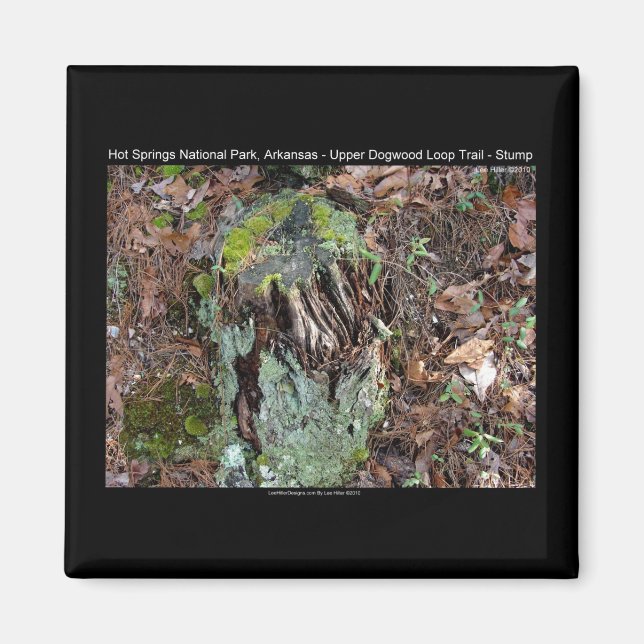 Hot Springs National Park, AR Upper Dogwood Loop Magnet (Framsidan)
