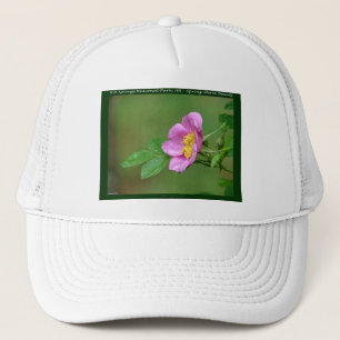 Hot Springs National Park, AR  Wild Rose Gåvor Keps