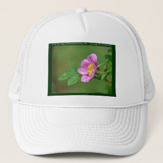 Hot Springs National Park, AR Wild Rose Gåvor Keps