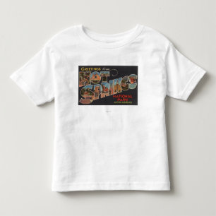 Hot Springs nationalpark, Arkansas (blått) Tee Shirt