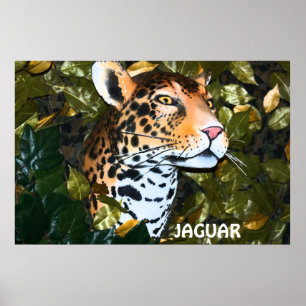 HOTA JAGUARAFFISCHEN POSTER