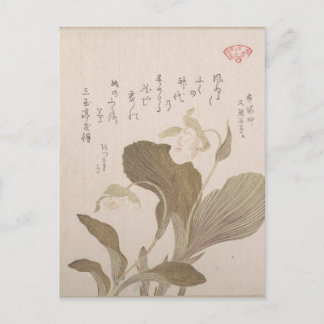 Hotei Flowers - Kubo Shunman (japanska) Vykort