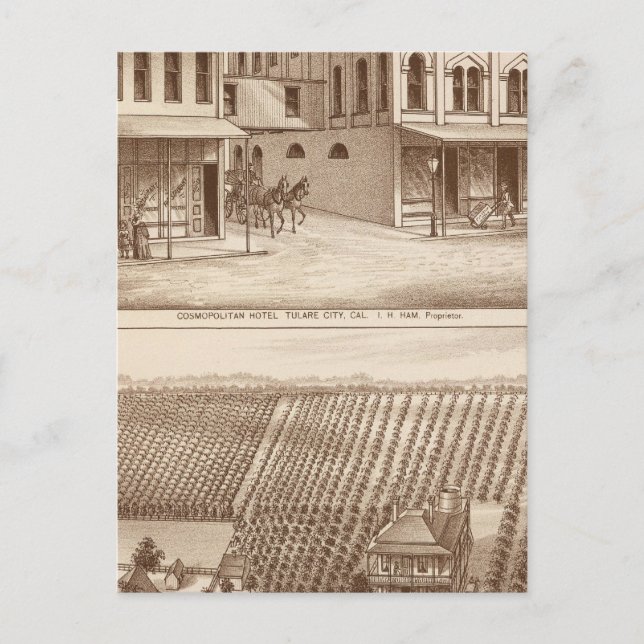 Hotel, vinodling, Tulare Vykort (Framsida)