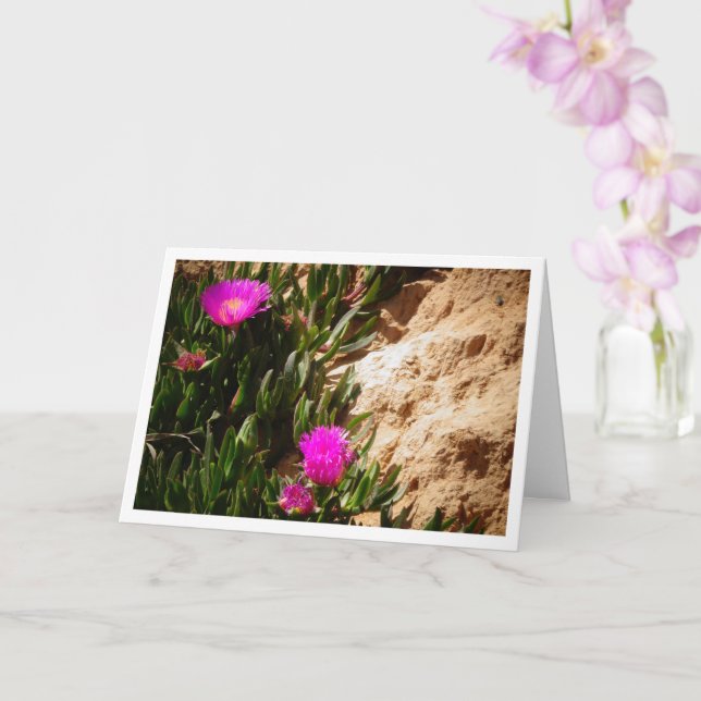 Hottentot Fig Ground Creeping Ice Plant Card Kort (Orkide)