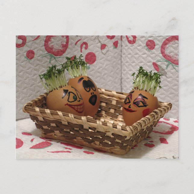 Hottub för Eggmen Friends Funny Påsk vykort (Framsida)