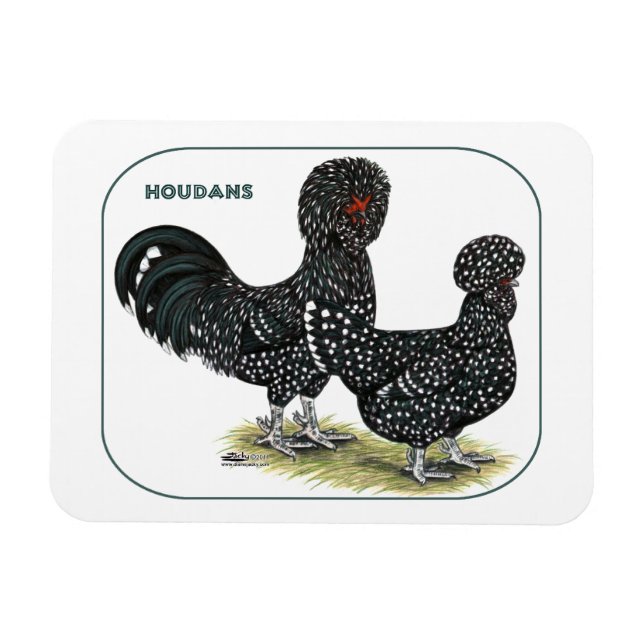Houdan Chickens Magnet (Horisontell)