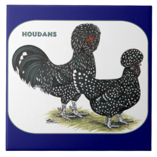 Houdan hönor kakelplatta