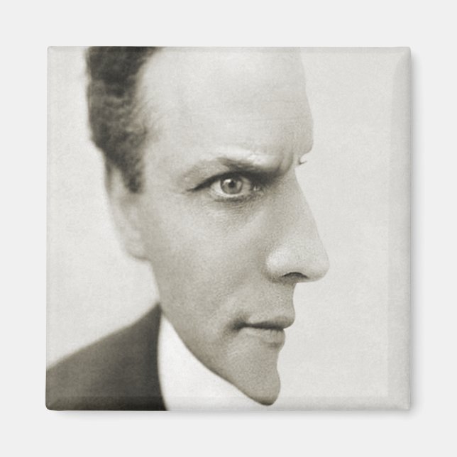 Houdini Optical Illusion Magnet (Framsidan)