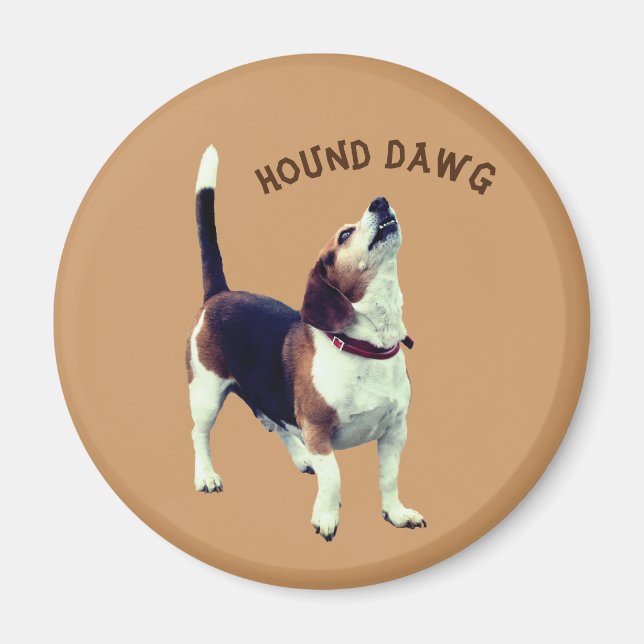 Hound Dawg Beagle Hund Cute Magnet (Framsidan)