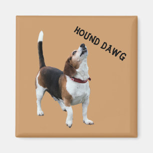 Hound Dawg Beagle Rolig hund Magnet