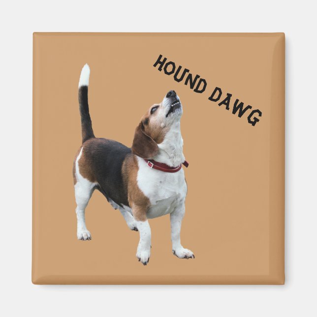 Hound Dawg Beagle Rolig hund Magnet (Framsidan)