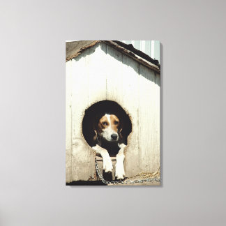 Hound hund i hund house canvastryck