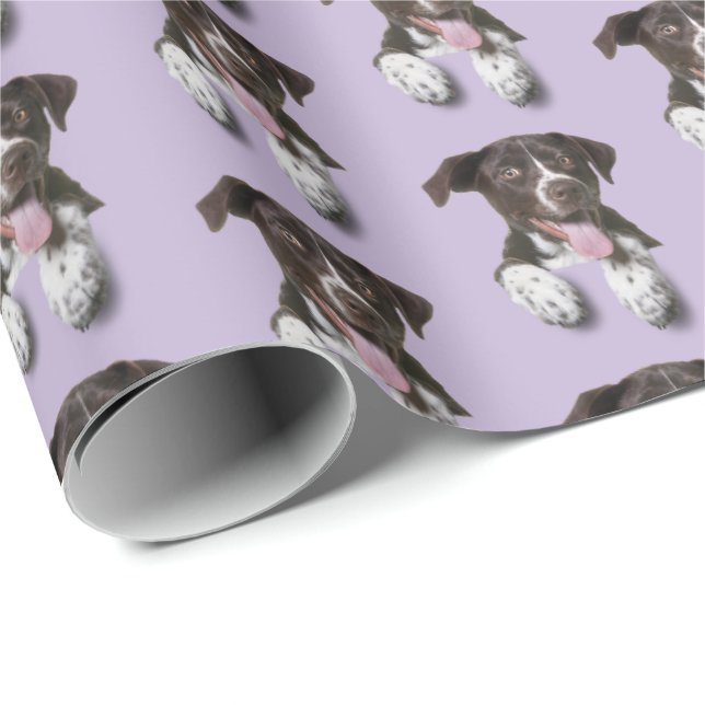 hound hund på lila presentpapper (Rullad Hörn)